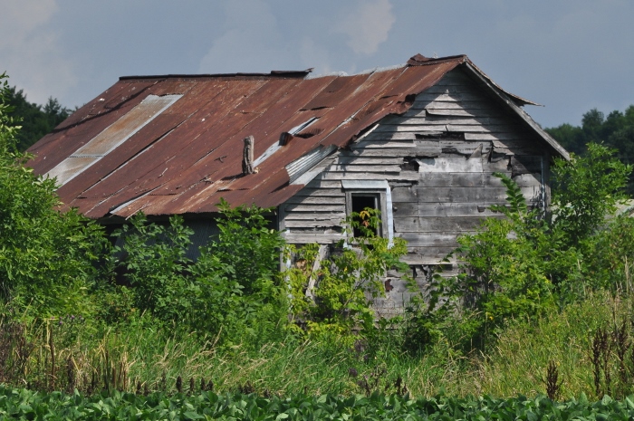 old shed next to the blue-roofed barn
